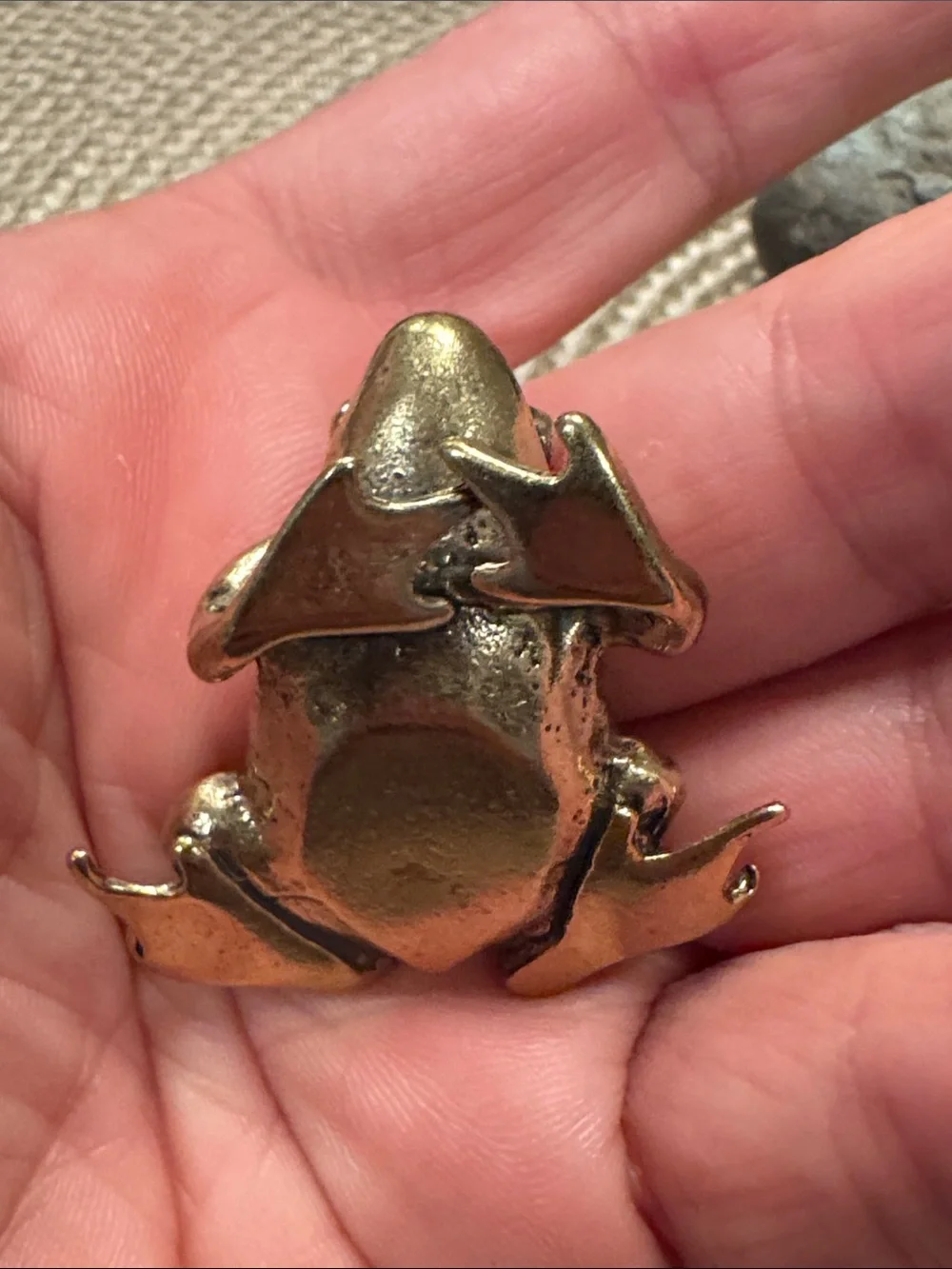Brass Frog Décor Accent